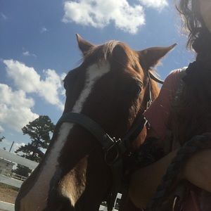 Meet your Posher, Joslyn